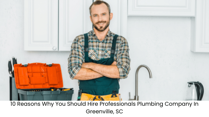 Why You Should Hire Professionals Plumbing Company